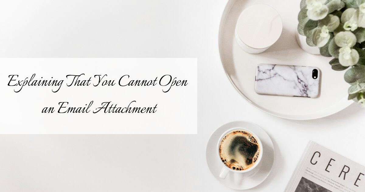 #297 Explaining That You Cannot Open an Email Attachment｜French Business Phrases